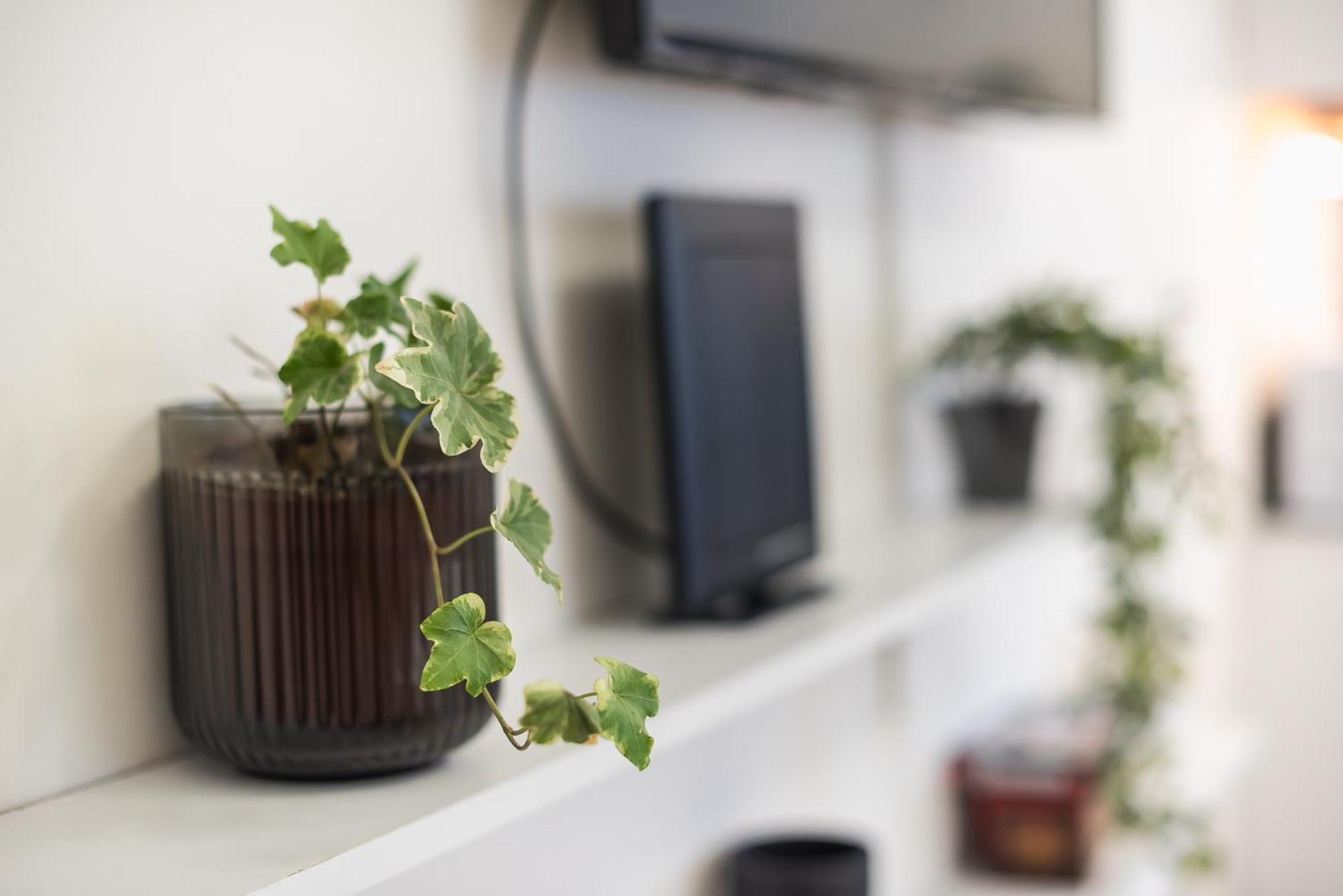 אתונה Modern Apartment 200M From Acropolis 100Mbps Netflix מראה חיצוני תמונה